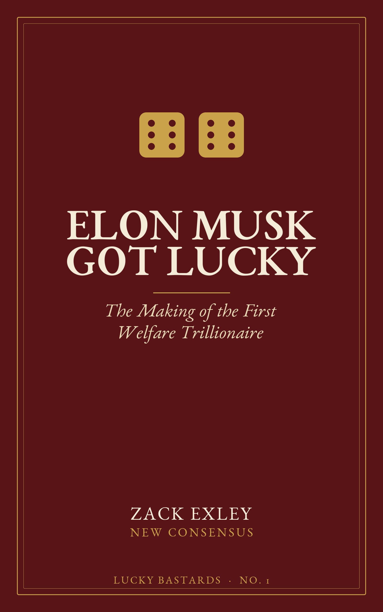 Elon Musk Got Lucky cover